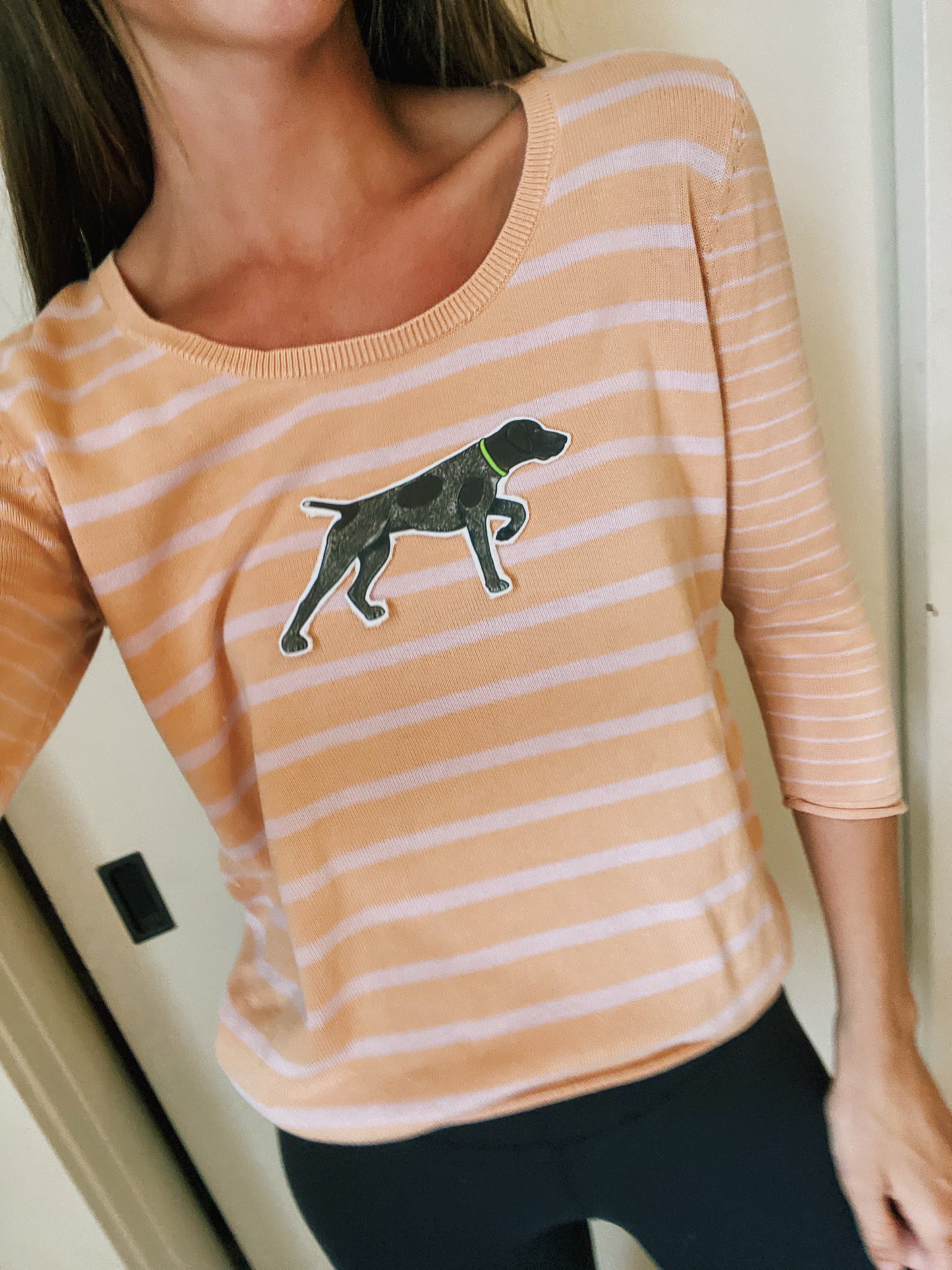 Quarter sleep bird dog striped sweater