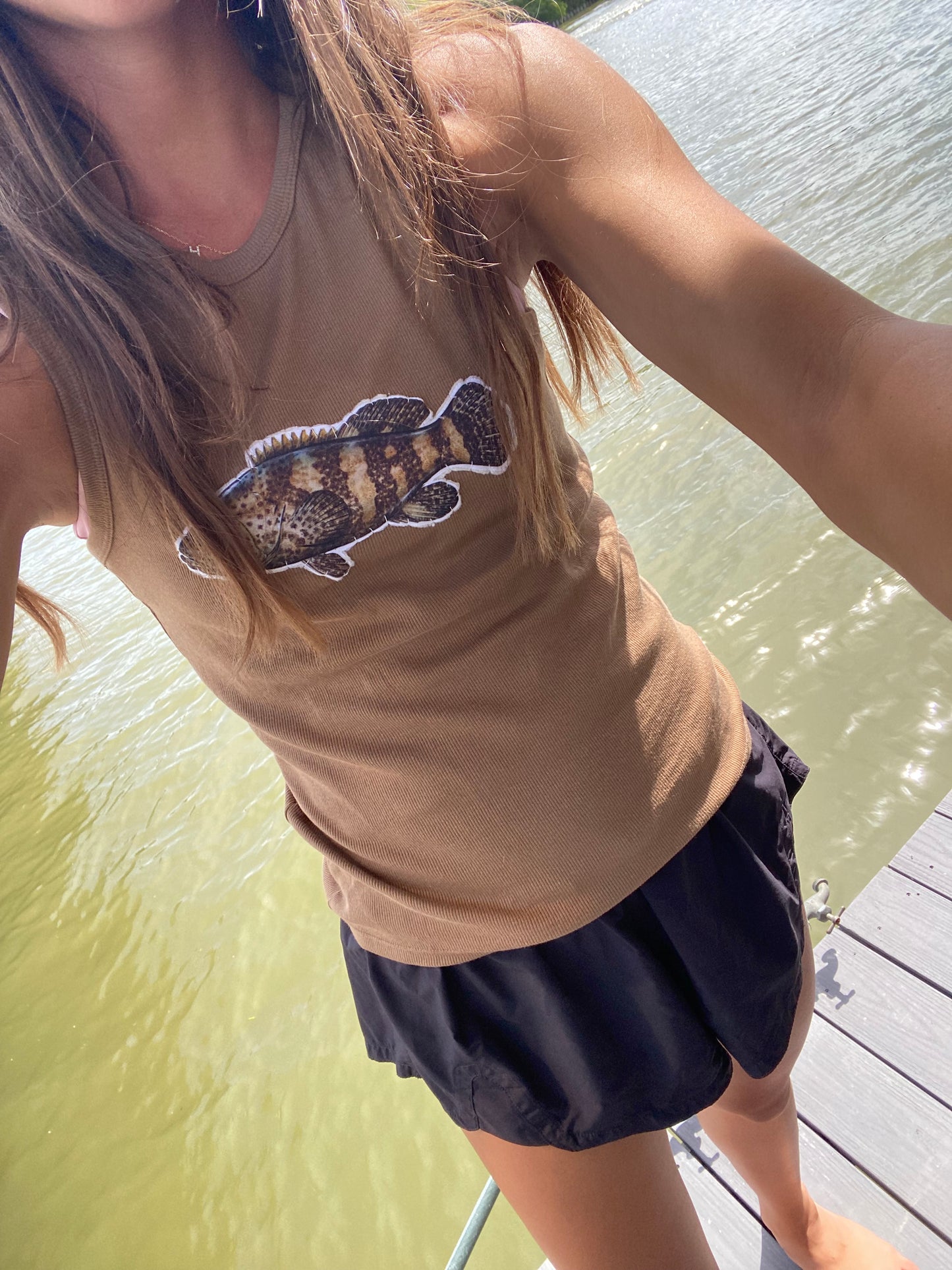 Brown grouper tank